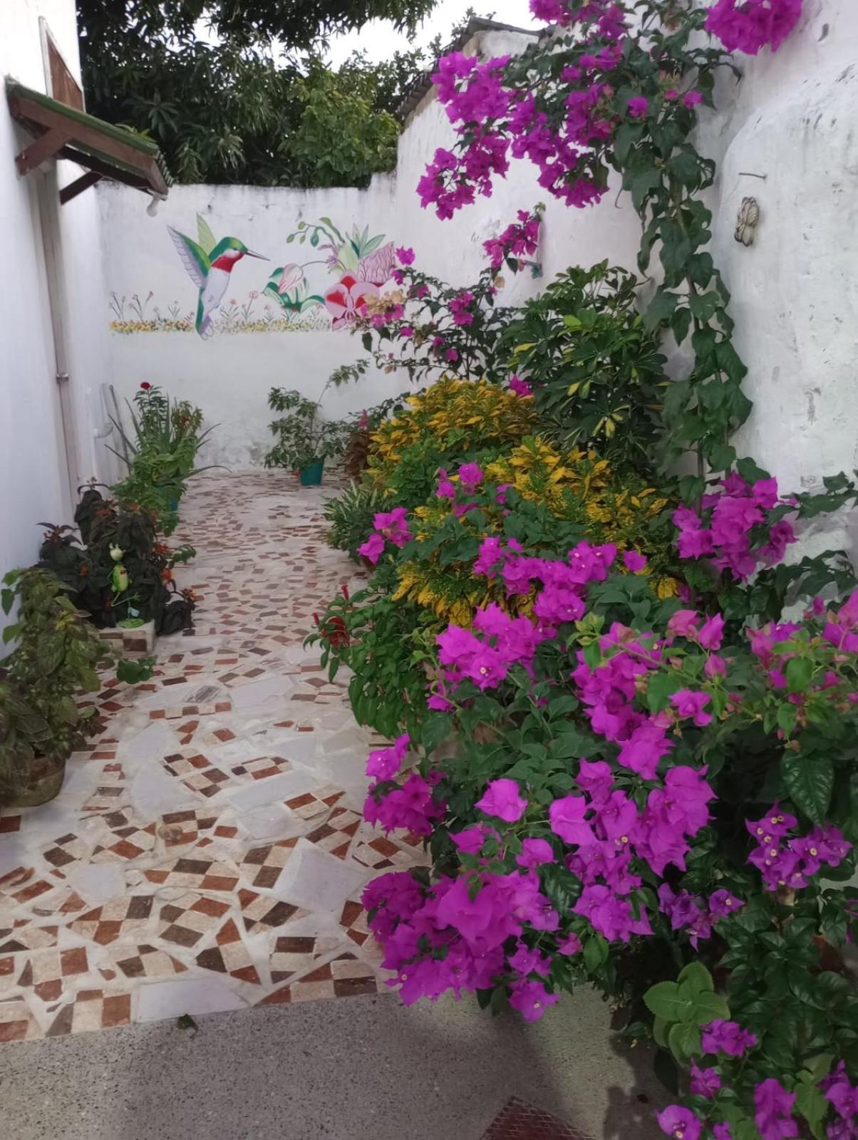 Hospedaje Casa Pachi En Cartagena De Indias المظهر الخارجي الصورة